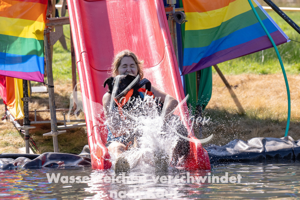 1216_ZZ91318 | kk-dogfotos