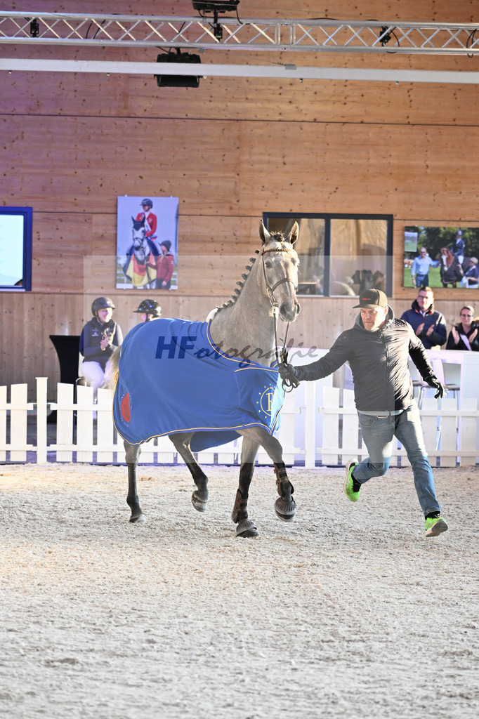 Kat-Nr. 40 Earendel PMZ v. Eldorado v d Zeshoek_Pobitzer_14265257 | hf-fotografie - Realisiert mit Pictrs.com