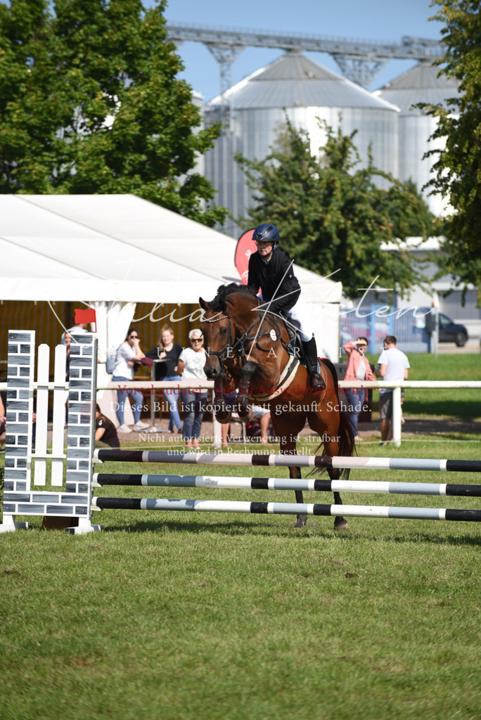 DSC_9100 | Pferde- und Turnierfotografie in Westsachsen. Pferdeportraits, Auftragszeichnungen und intuitive Kunst.