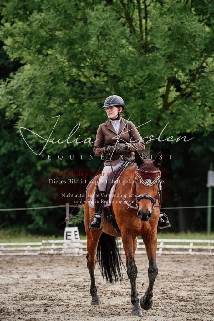 DSC_9556 | Pferde- und Turnierfotografie in Westsachsen. Pferdeportraits, Auftragszeichnungen und intuitive Kunst.