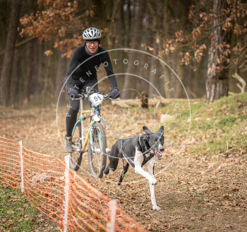 Pfotenfotografie_DV3A2998 | Hundefotografie, Tierfotograf, Pfotenfotografie, Fotoshooting Hund, Hunde Portrait, Hundesport, Hundeportraits, Heideshooting, Hunde, Sportfotograf, Hundefotograf, Turnierhundsport, THS,  - Realisiert mit Pictrs.com