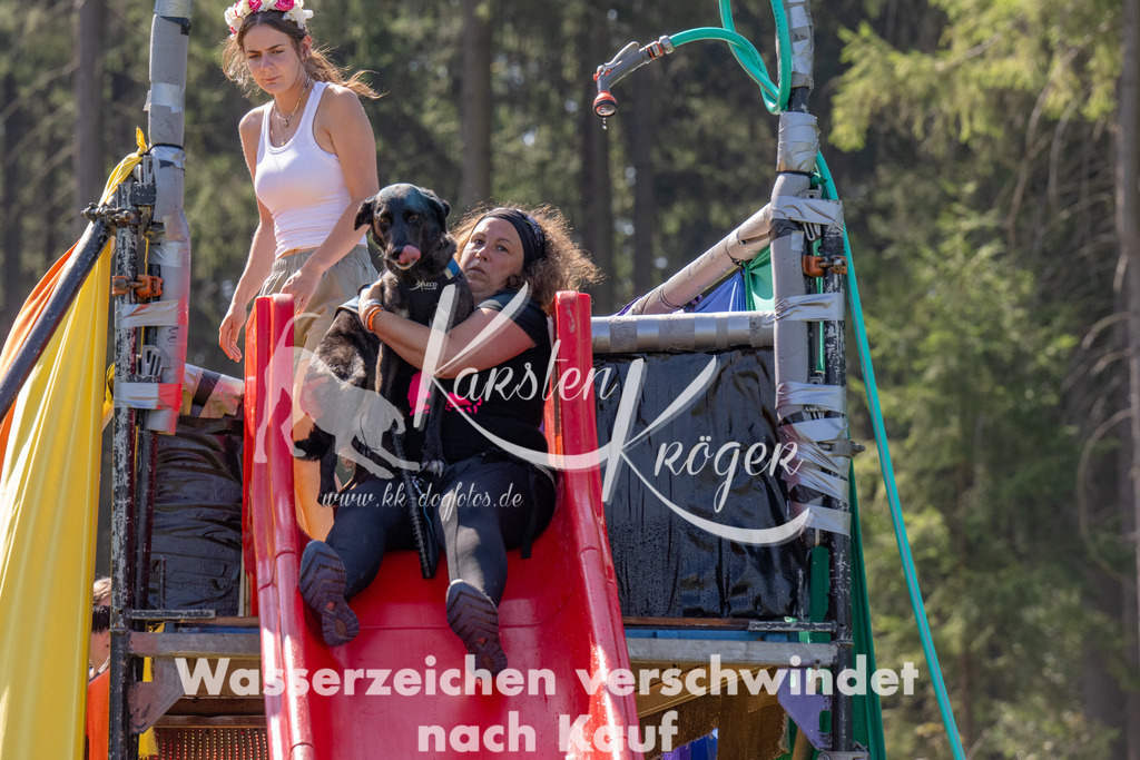 1219_ZZ91560 | kk-dogfotos