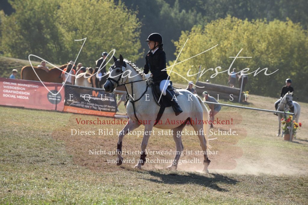 DSC_5853 | Pferde- und Turnierfotografie in Westsachsen. Pferdeportraits, Auftragszeichnungen und intuitive Kunst.