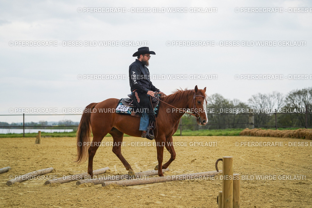 DSC08257 | Pferdegrafie