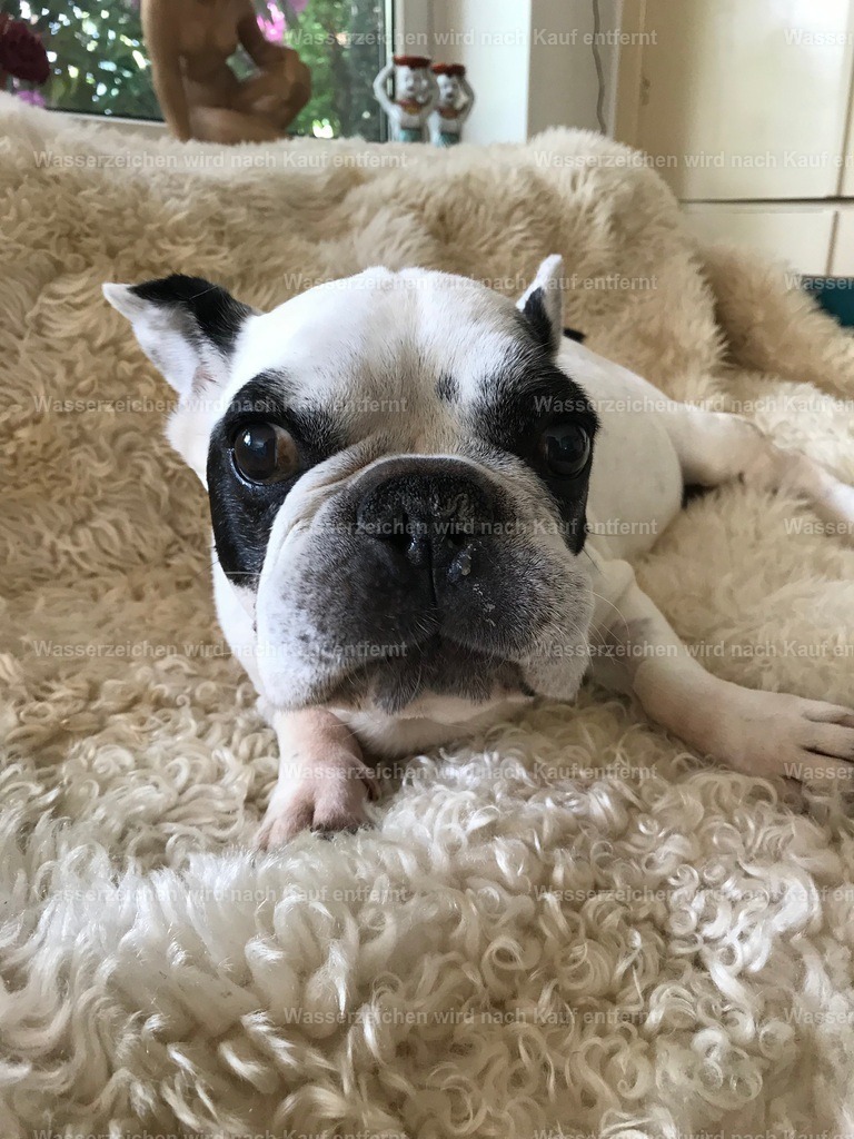 IMG_1361 | heikomoeller - Realisiert mit Pictrs.com