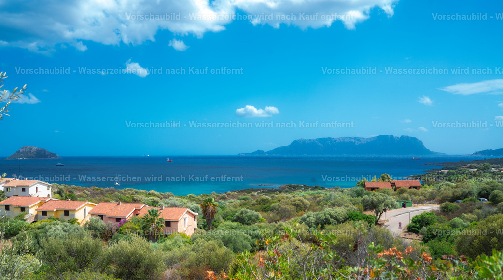 DSC08982 | marcuslinek