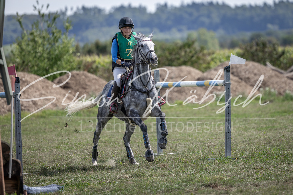 20250907-_3LI0954 | Tierfotografie Pferde, Hunde, Katzen, Haustiere.
Turnierfotografie Reitturniere, Reiten, Springreiten, Dressur in Hanau, dem Main-Kinzig-Kreis und dem Rhein-Main- Gebiet um Frankfurt