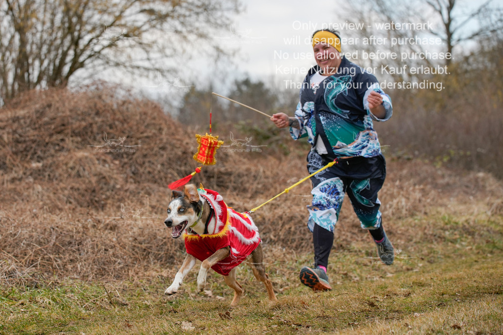 Fasching-62 | stephaniefillaphotographie - Realisiert mit Pictrs.com