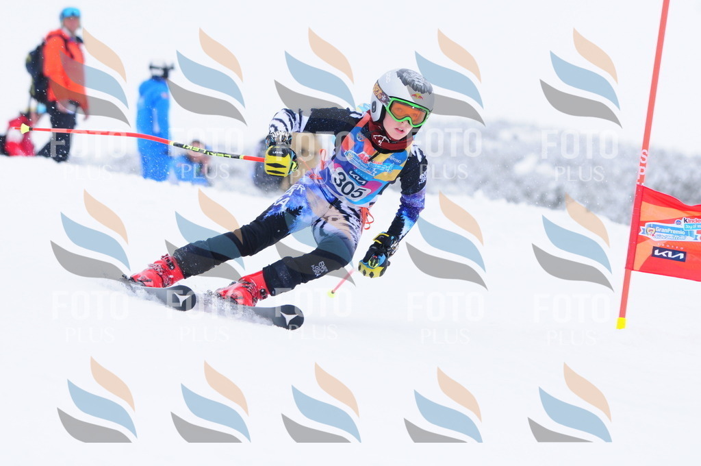 C3236 | holidayphoto