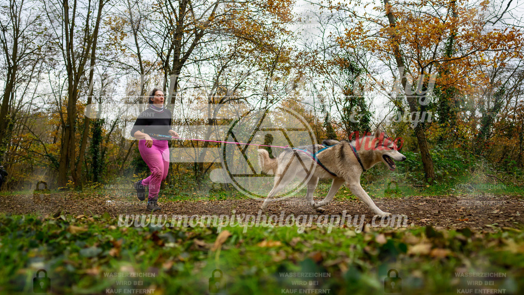 MompixPhotography_Bischwiller24_DI_CoursedeRelais-115 | PayLife