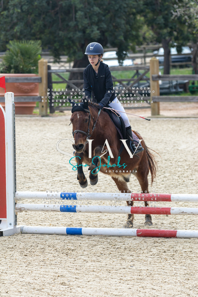 IMG_4723 | s-jay-photography - Realisiert mit Pictrs.com