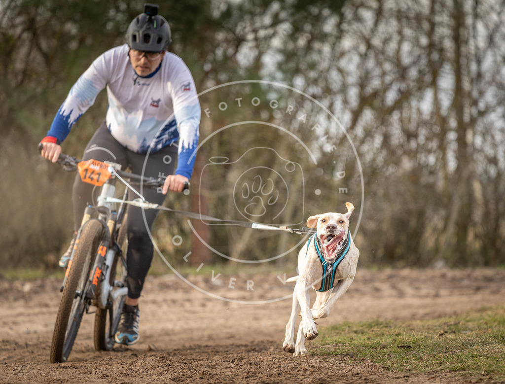 Pfotenfotografie_DV3A7904 | Hundefotografie, Tierfotograf, Pfotenfotografie, Fotoshooting Hund, Hunde Portrait, Hundesport, Hundeportraits, Heideshooting, Hunde, Sportfotograf, Hundefotograf, Turnierhundsport, THS,  - Realisiert mit Pictrs.com