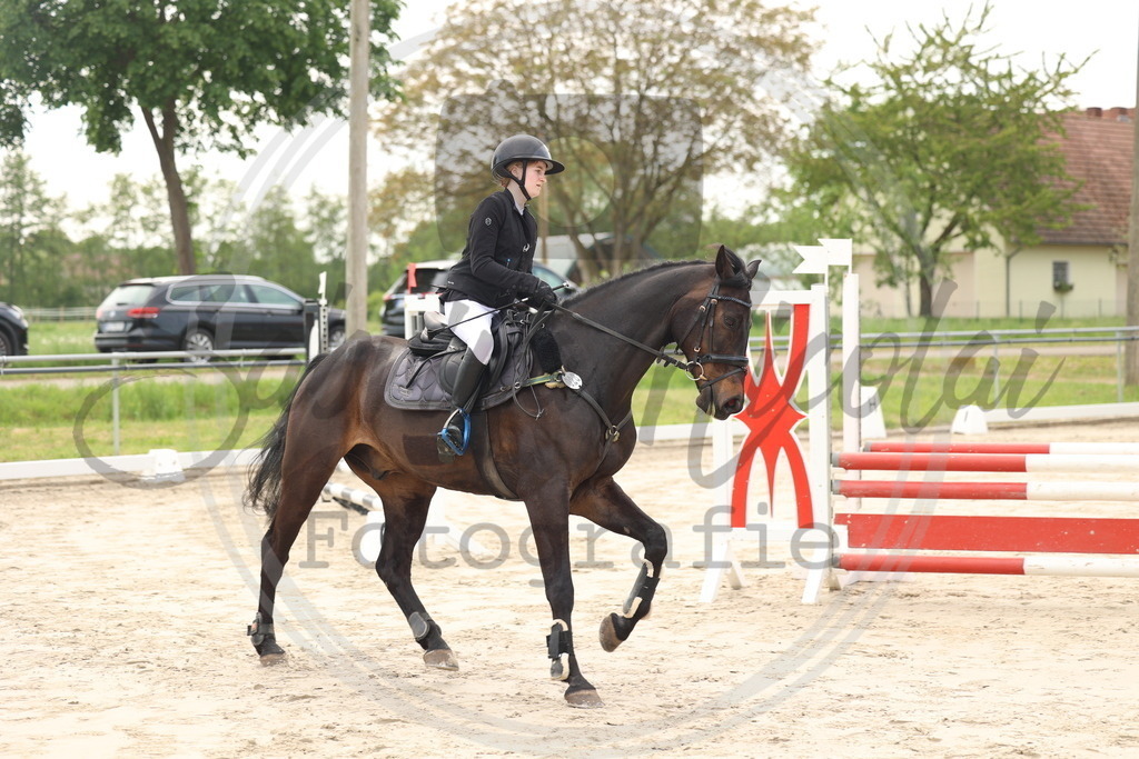 994A7495 | sabrinanicolaifotografie - Realisiert mit Pictrs.com