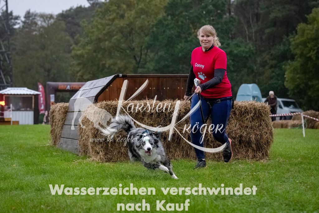 0817-_ZZ90890-Bearbeitet-Bearbeitet | kk-dogfotos