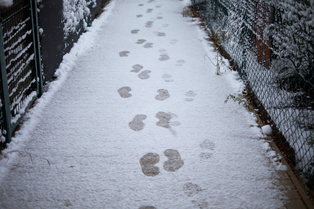 Fußspuren im Schnee in einer Wohnanlage | Wien, Austria - December 09, 2021: Fußspuren im Schnee in einer Wohnanlage. - Realisiert mit Pictrs.com