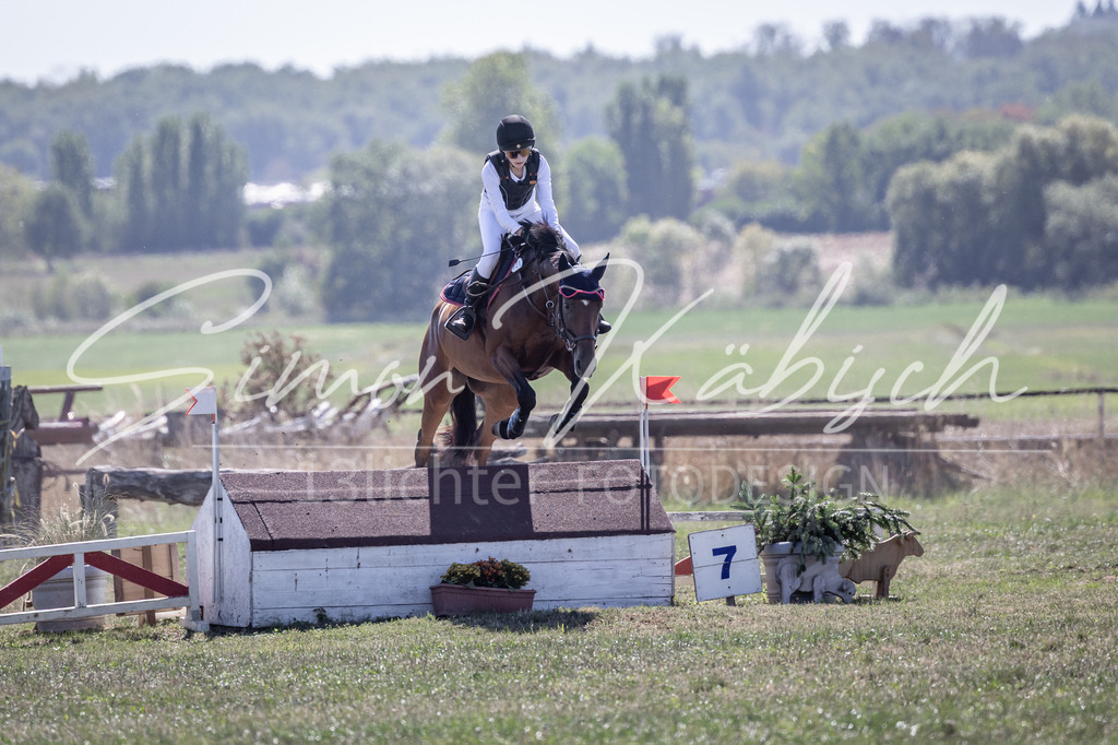 20260906-_3LI3183 | Tierfotografie Pferde, Hunde, Katzen, Haustiere.
Turnierfotografie Reitturniere, Reiten, Springreiten, Dressur in Hanau, dem Main-Kinzig-Kreis und dem Rhein-Main- Gebiet um Frankfurt
