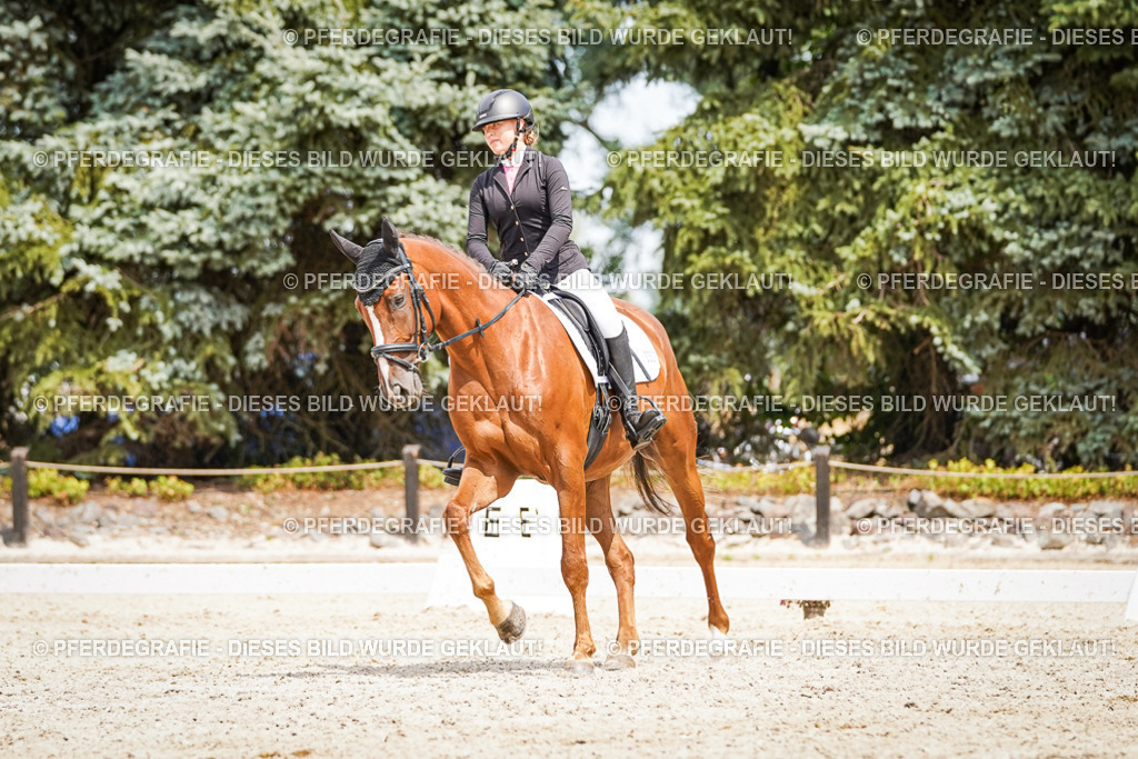 DSC03810 | Pferdegrafie