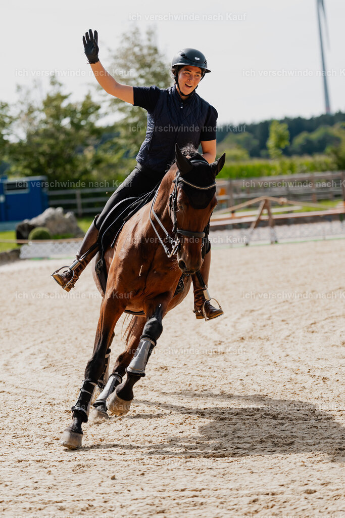 Nadine22_FHC2025-130 | working equitationturnier fotograf videograf stoibphotography marixx film working equitation deutschland reitsport turnierfotografie eventfotografie equestrian events