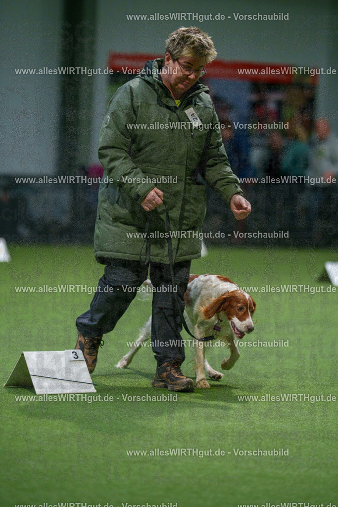 7R500131 | Professionelle Tierfotografie in Mönchengladbach von Daniel Wirth (allesWIRTHgut). Liebevolle & natürliche Bilder von Hunden & Katzen für unvergessliche Erinnerungen.
