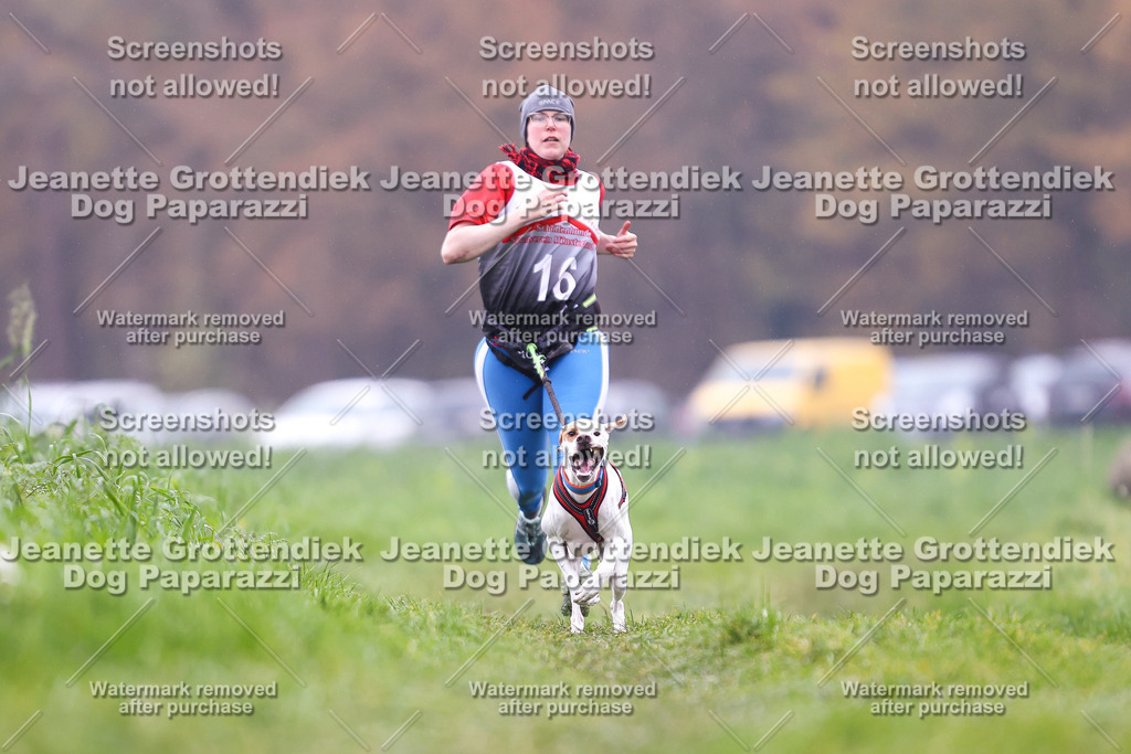Dog Paparazzi - Visbeck 25 -825 | Dog Paparazzi Jeanette Grottendiek Fotografie & Videografie - Realisiert mit Pictrs.com