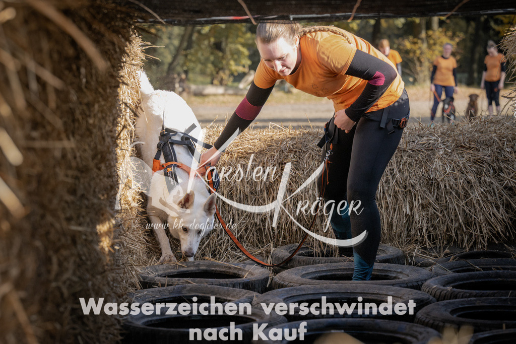 1123_ZZ91341 | kk-dogfotos