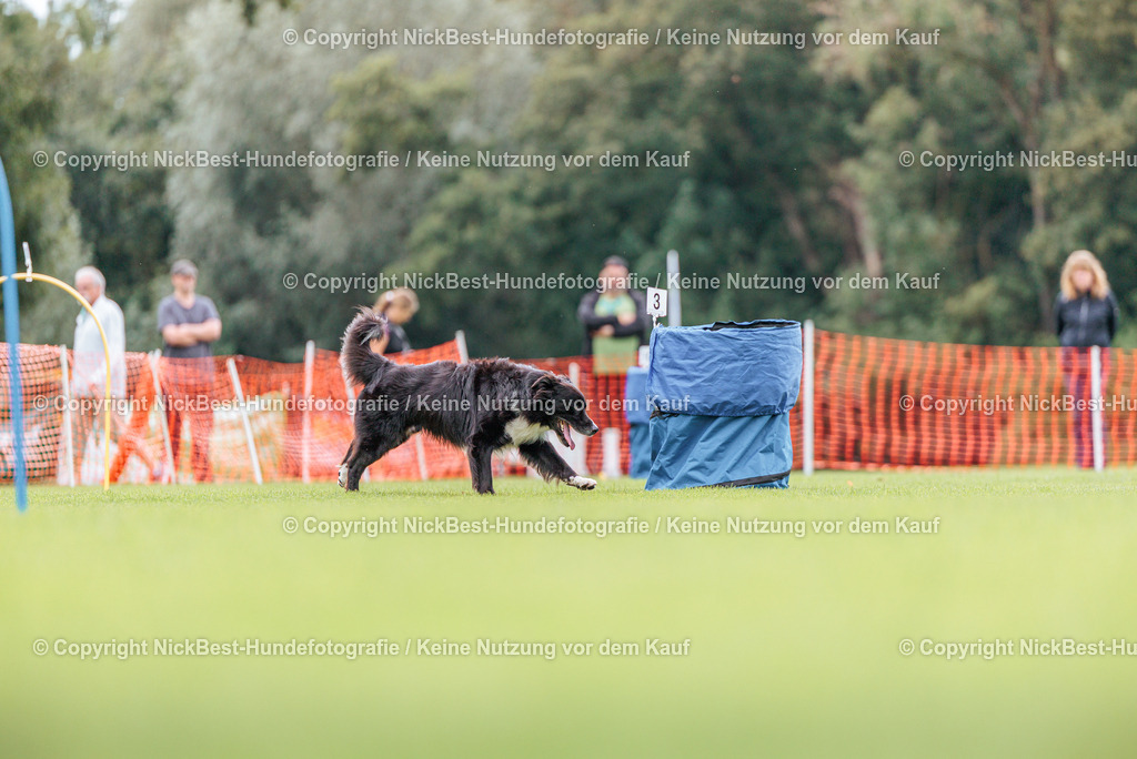BSP Hoopers-H2-2026-Nickbest-Hundefotografie-TuS Komet Arsten e.V.-5677 | Dein Hund! Dein Moment! Deine Erinnerungen! Hundefotografie in Bremen Blumenthal. Ich fange die besonderen Momente deines Vierbeiners ein – ob Indoor mit Blitzanlage oder in der freien Natur. Sicher dir dein Moment und dein Termin für eure Erinnerungen.