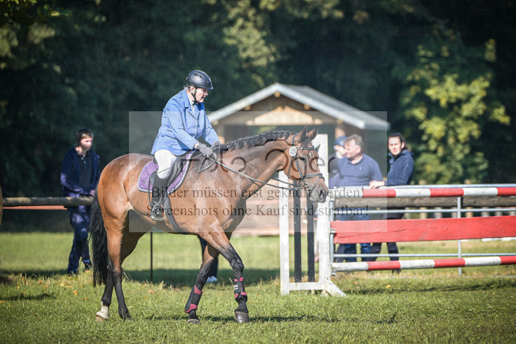 DOS_0256 | Entdecke hochwertige Reitturnierfotos von Foto Oger. Professionell, emotional und authentisch – jetzt Lieblingsmomente im Shop bestellen.Deutschlandweite Turnierfotografie. - Realisiert mit Pictrs.com