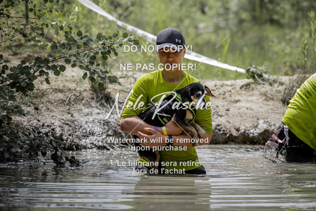 nelerasche_so1145-1230_68 | nelerasche