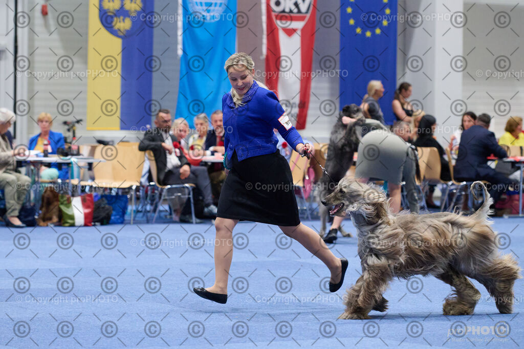 202406_ÖKV-IHA-Tulln24_DSC_3235 | proPHOTO - Realisiert mit Pictrs.com