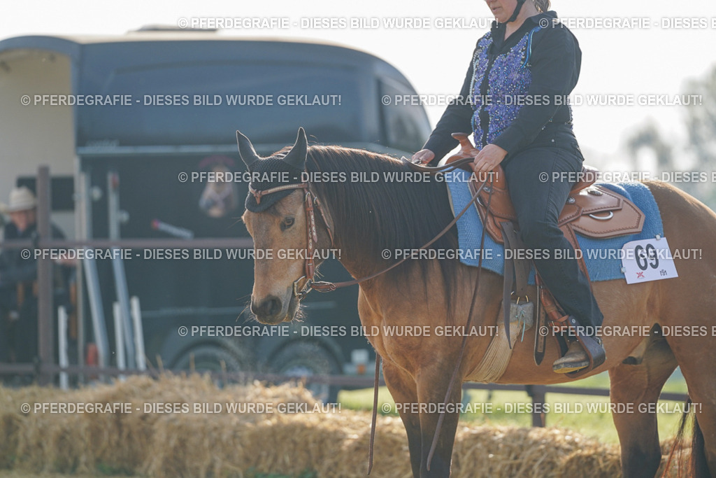 DSC00623 | Pferdegrafie