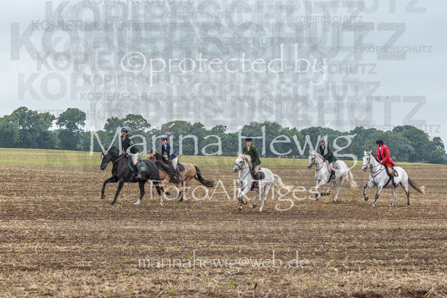 Jagd Perdoel_MarinaHewigMCH04160 | Fotografie, FotoArt, PferdesportArt, Pferdesportfotografie, Landschaftsfotografie, Reisefotografie, Reise, Pferde - Realisiert mit Pictrs.com