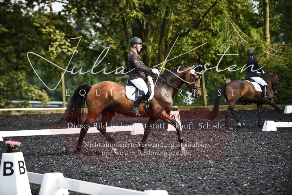 DSC_3073 | Pferde- und Turnierfotografie in Westsachsen. Pferdeportraits, Auftragszeichnungen und intuitive Kunst.