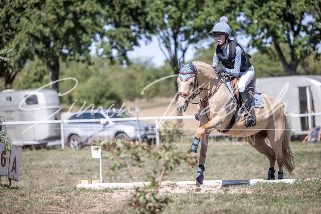 20260906-_3LI3708 | Tierfotografie Pferde, Hunde, Katzen, Haustiere.
Turnierfotografie Reitturniere, Reiten, Springreiten, Dressur in Hanau, dem Main-Kinzig-Kreis und dem Rhein-Main- Gebiet um Frankfurt