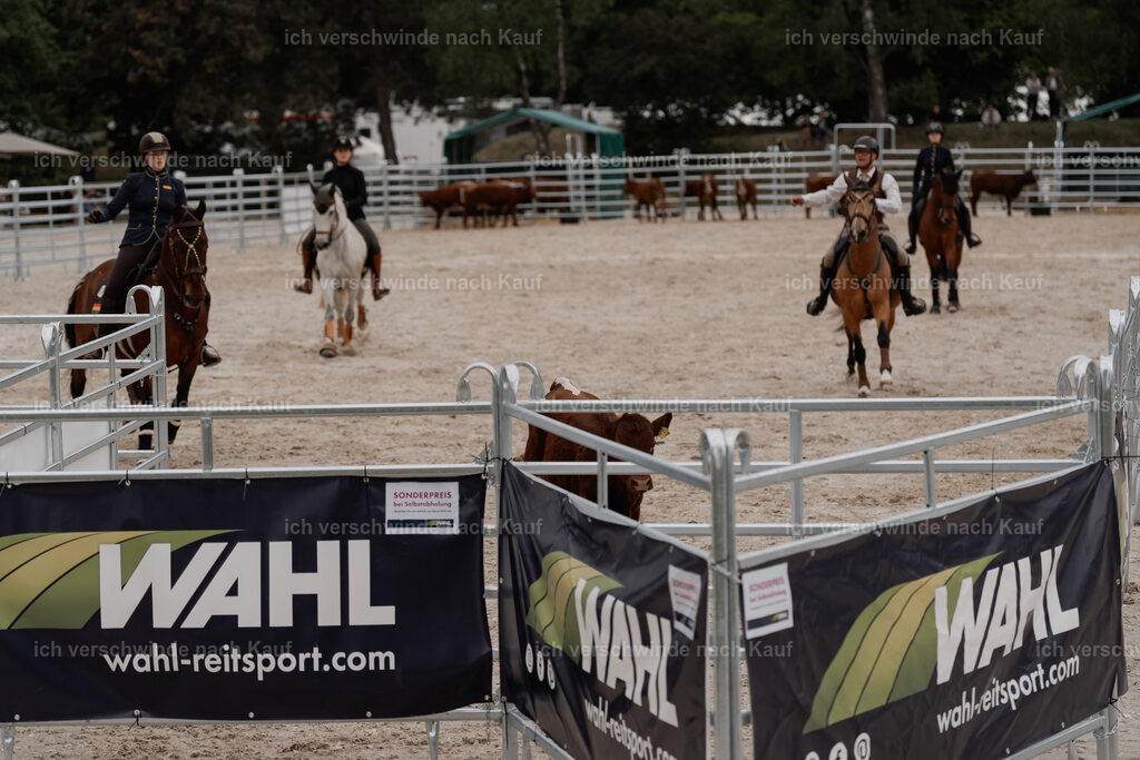 WE__Stoib_Rinder_PI2025_3037 | Pferd International München 2025