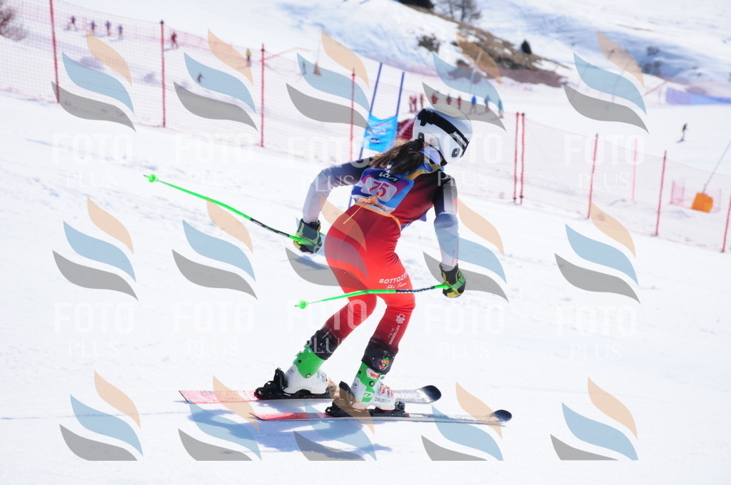 DSC_4474 | holidayphoto