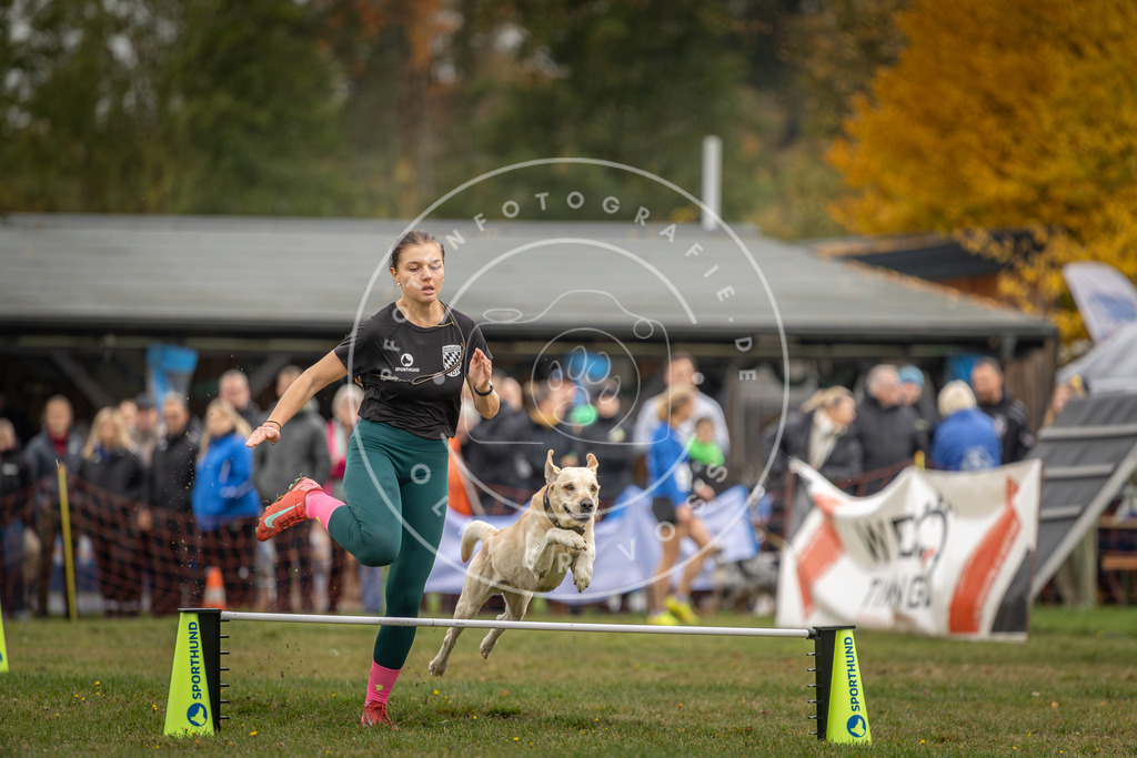 Pfotenfotografie_DV3A3116 | Hundefotografie, Tierfotograf, Pfotenfotografie, Fotoshooting Hund, Hunde Portrait, Hundesport, Hundeportraits, Heideshooting, Hunde, Sportfotograf, Hundefotograf, Turnierhundsport, THS,  - Realisiert mit Pictrs.com