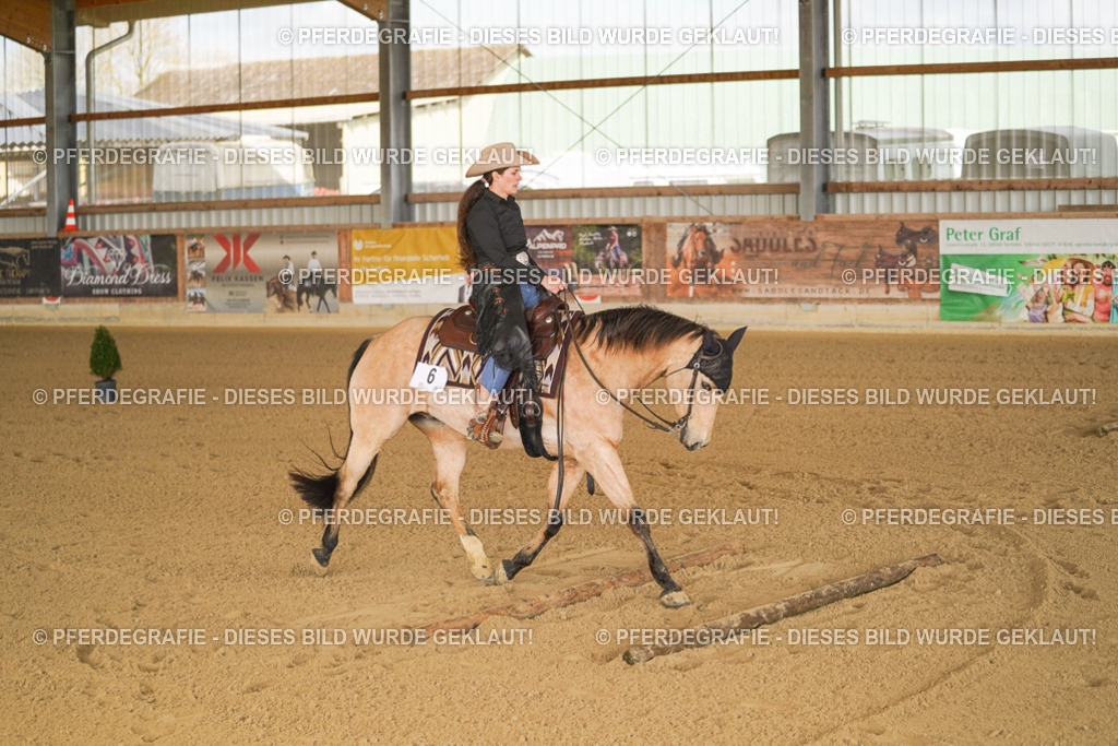 DSC01473 | Pferdegrafie