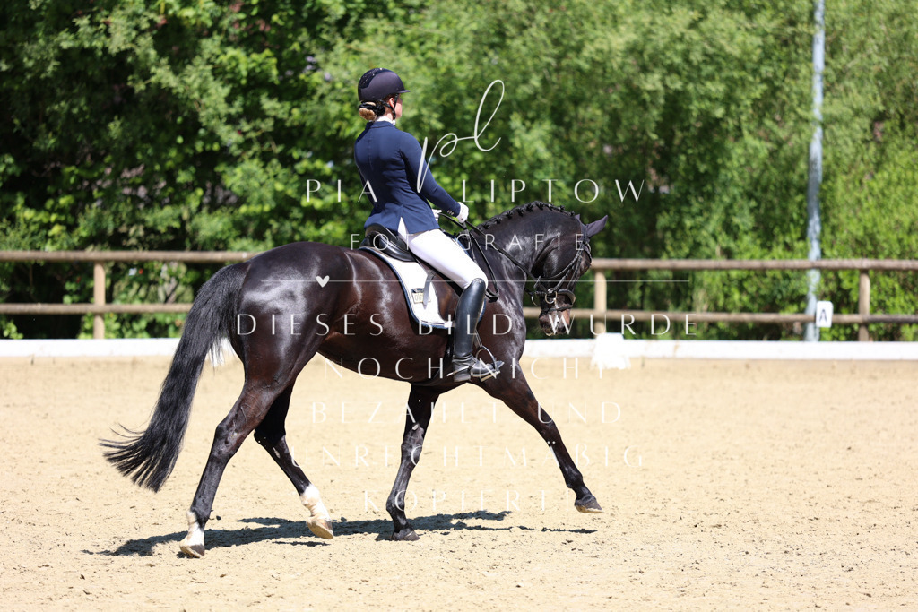 IMGS1851 | pl-fotografie