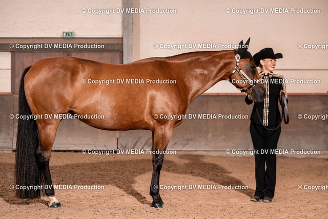 LM Heiligenwald Tag 1-314 | dv-media-shop - Realisiert mit Pictrs.com