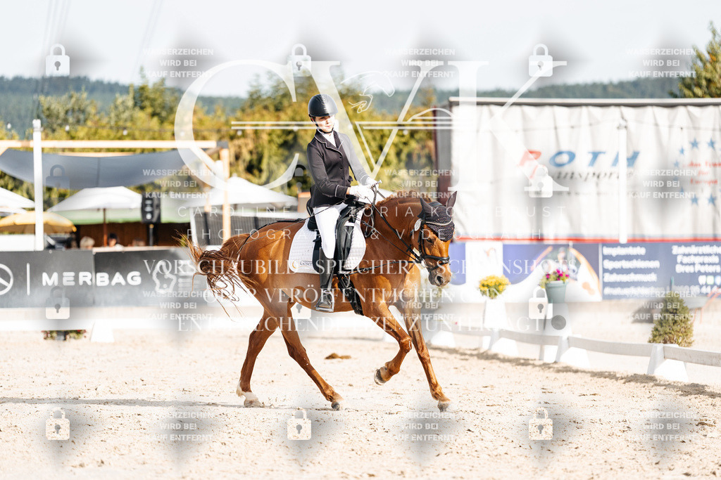 CK904531 | Turnierfotografie Pferdefotografie Trier Rheinland-Pfalz Pferdesport Reitsport Tierfotografie Sportfotografie Pferdevideo Pferdevideografie Equestrianvideography equestrianphotography  - Realisiert mit Pictrs.com