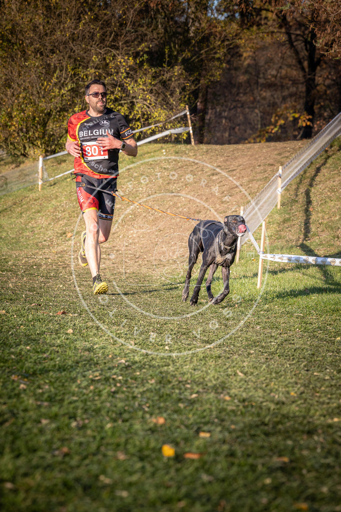 CaniXpix_0L8A0359 | Hundefotografie, Tierfotograf, Pfotenfotografie, Fotoshooting Hund, Hunde Portrait, Hundesport, Hundeportraits, Heideshooting, Hunde, Sportfotograf, Hundefotograf, Turnierhundsport, THS,  - Realisiert mit Pictrs.com