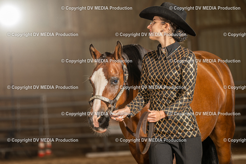 NID02373 | dv-media-shop - Realisiert mit Pictrs.com