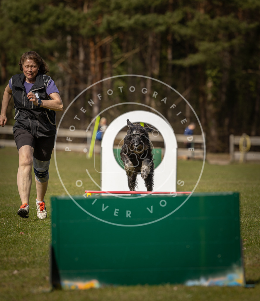 Pfotenfotografie_DV3A0266 | Hundefotografie, Tierfotograf, Pfotenfotografie, Fotoshooting Hund, Hunde Portrait, Hundesport, Hundeportraits, Heideshooting, Hunde, Sportfotograf, Hundefotograf, Turnierhundsport, THS,  - Realisiert mit Pictrs.com