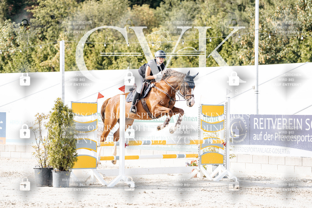 CK905697 | Turnierfotografie Pferdefotografie Trier Rheinland-Pfalz Pferdesport Reitsport Tierfotografie Sportfotografie Pferdevideo Pferdevideografie Equestrianvideography equestrianphotography  - Realisiert mit Pictrs.com