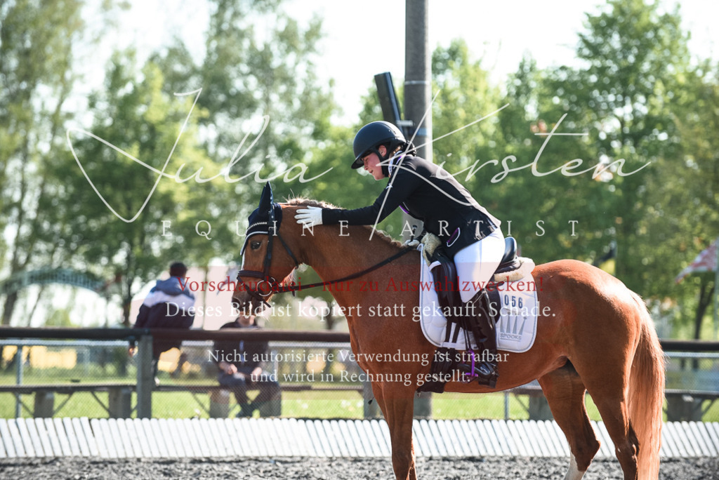 DSC_8453 | Pferde- und Turnierfotografie in Westsachsen. Pferdeportraits, Auftragszeichnungen und intuitive Kunst.