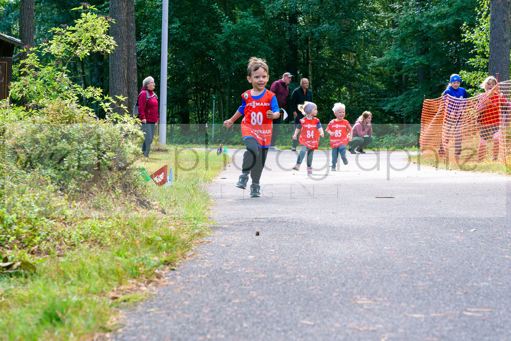 Rolf-Schumann-Gedächtnislauf | Frankenhain, 30.08.2025
