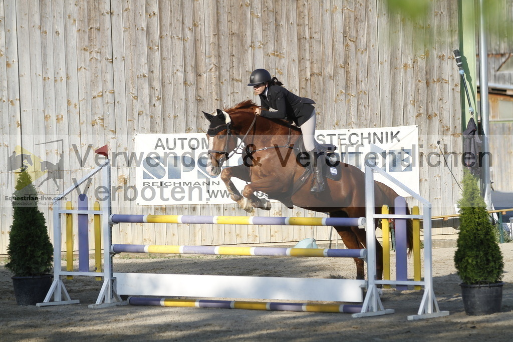 _MG_2255 | equestrian-live-com