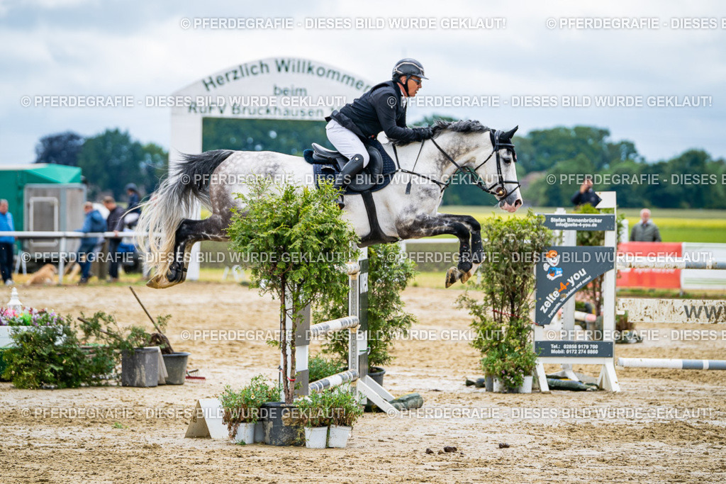 DSC04240 | Pferdegrafie