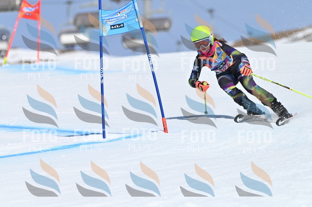 BGV_9844 | holidayphoto