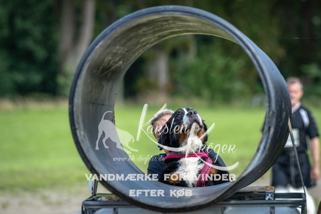 1313_ZZ92623 | kk-dogfotos